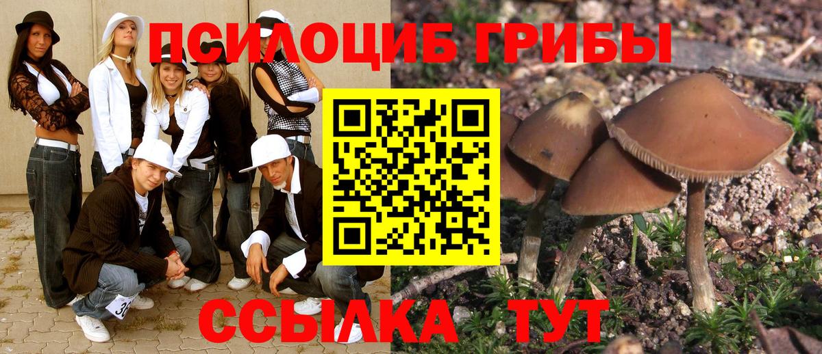 Галлюциногенные грибы MAGIC MUSHROOMS  Псилоцибиновые грибы GOLDEN TEACHER  Вход с VPN  Семилуки 
